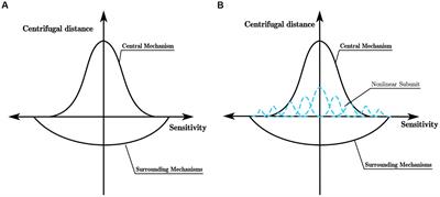 Learning parallel and hierarchical mechanisms for edge detection